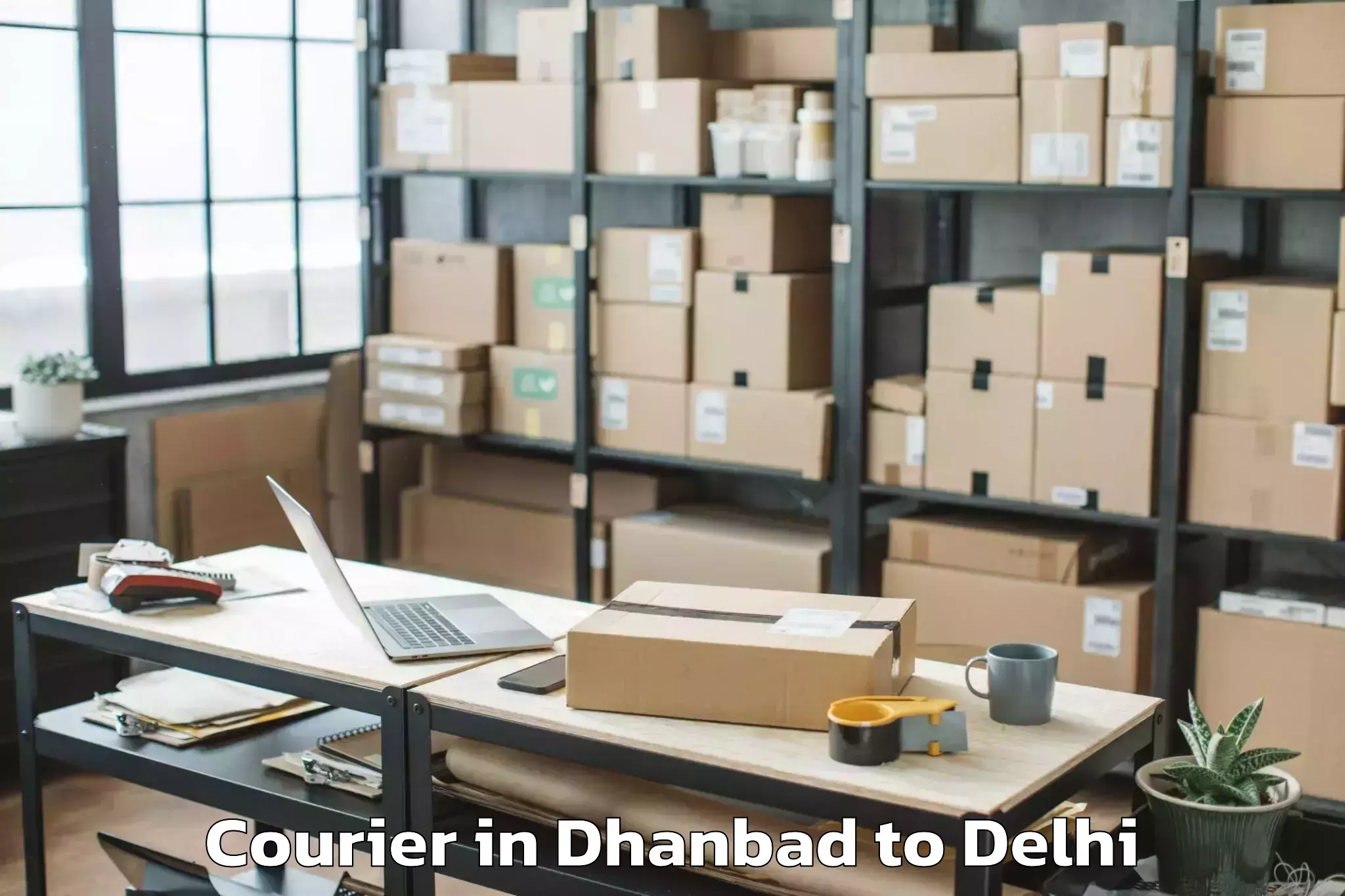 Professional Dhanbad to Delhi Technological University Courier